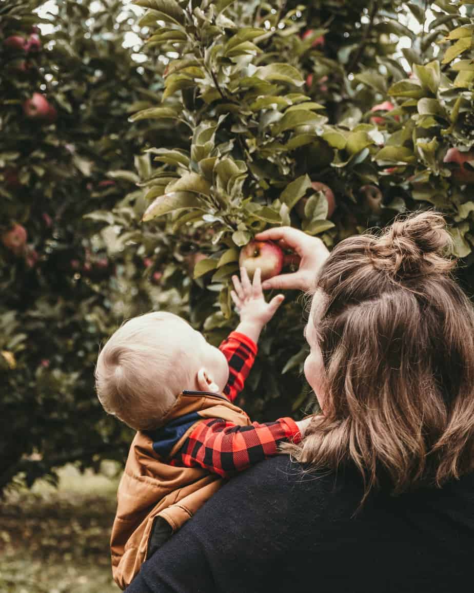 Mother and Son Picking Apples
