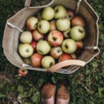 Standing with a Bag of Apples