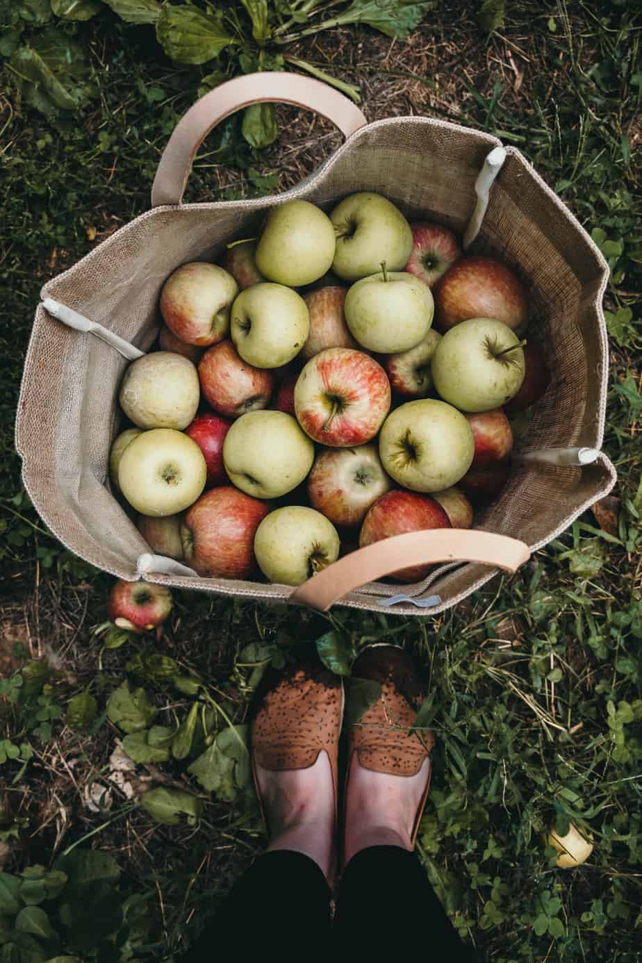 Standing with a Bag of Apples